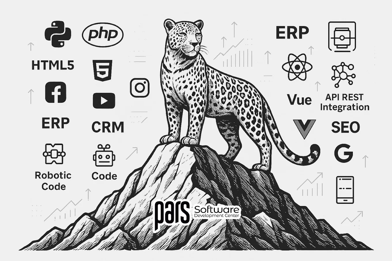 Kayseri Yazılım Şirketleri